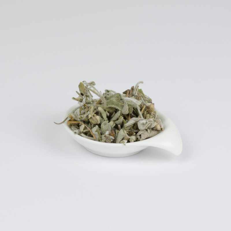 Salvia in foglie